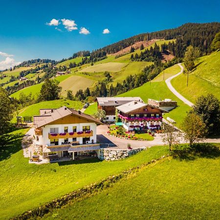 Lindbichlhof Urlaub Am Bio Bauernhof Daire Sankt Johann im Pongau Dış mekan fotoğraf