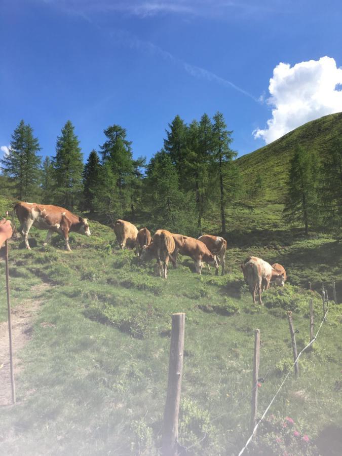 Lindbichlhof Urlaub Am Bio Bauernhof Daire Sankt Johann im Pongau Dış mekan fotoğraf
