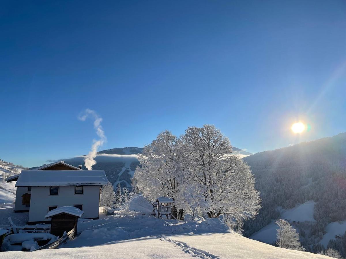 Lindbichlhof Urlaub Am Bio Bauernhof Daire Sankt Johann im Pongau Dış mekan fotoğraf